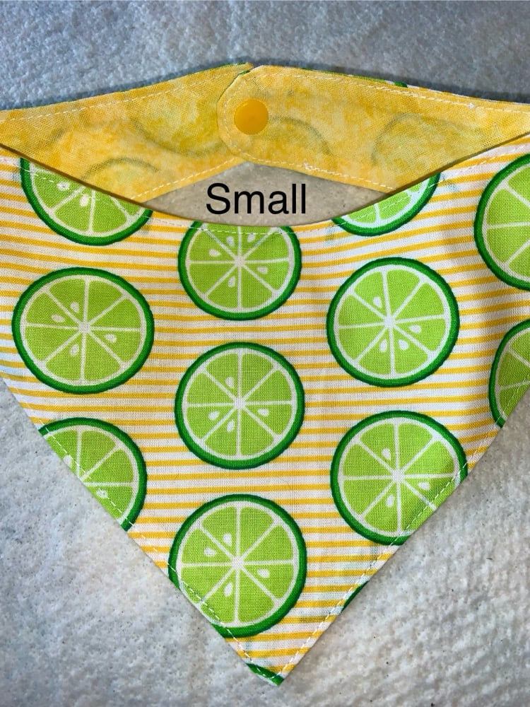 Image of Snap-On Pet Bandana (S) SWIPE ➡️for more prints 