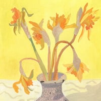 Image 2 of Faded Daffodils 