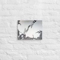 Image 4 of Canvas of Heilung
