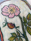 Wild Rose 