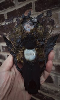 Image 4 of Memento Mori vi 