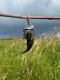 Image 1 of Wolf claw pendant4