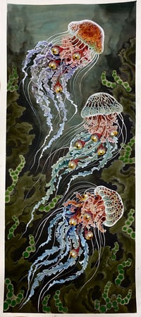 Image 5 of Jellyfishes