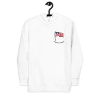 Image 2 of USA x Breezy Heaven on Earth Hoodie