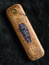 Image 4 of Repurposed Vanity series antique Anatomical with preserved web D