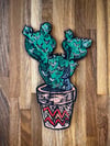 Cactus Plant