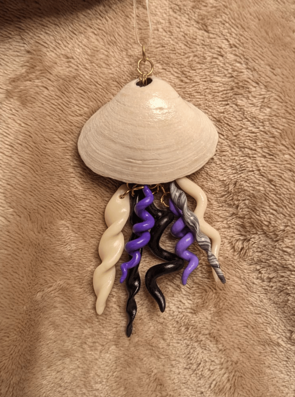 Image of "Seashell" Wall Hangings