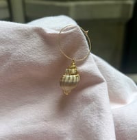 Image 3 of boucles  d oreilles Coquillage 