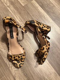 Image 1 of  Steve Madden leopard print sandals