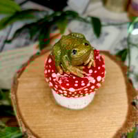 Image 2 of Słoiczek - Żaba na muchomorze 🐸🍄