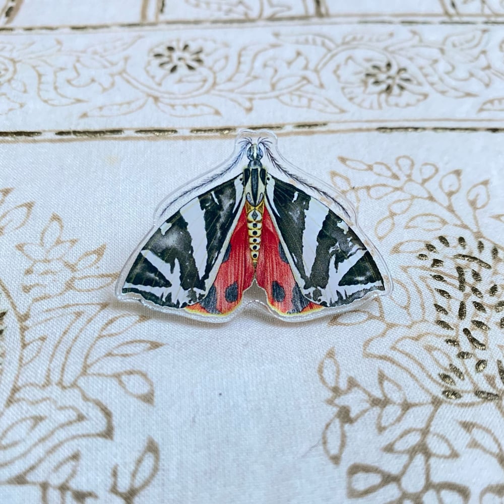 Image of Jersey Tiger Moth Pin