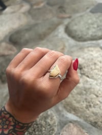 Image 1 of Trapezoid walrus ivory