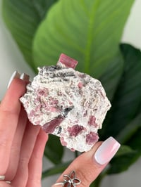 Image 2 of GEMMY PINK TOURMALINE ON FELDSPAR WITH LEPIDOLITE -PAKISTAN-