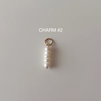 Image 3 of Charms