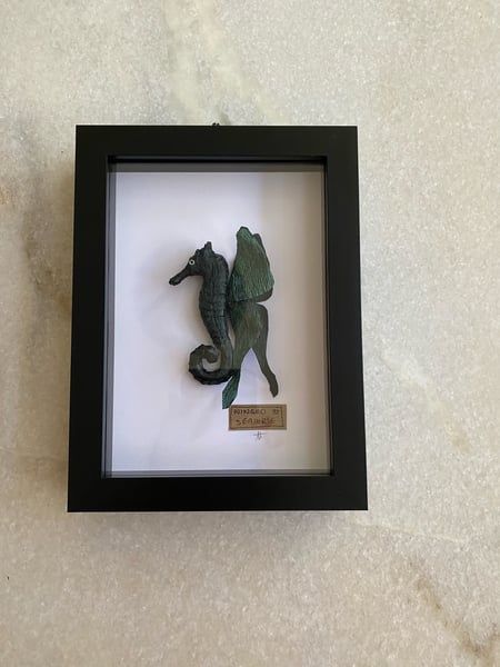 Image of Black Metallic Winged Seahorse framed specimen. Faux Taxidermy 