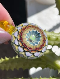 Image 5 of Sunburst Dahlia