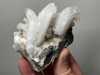 Image 2 of Ram’s Horn Selenite, Gypsum Specimen | Guizhou China #3048