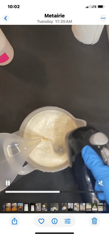 Image of Sweet Jasmine Rose Body Butter