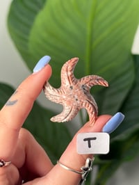 Image 20 of CHOOSE YOUR OWN MINI SOAPSTONE STARFISH