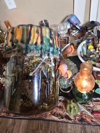 Image 8 of StRange Agave Jupiter JaR