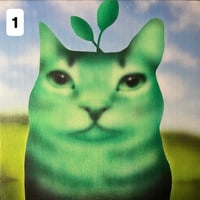 Image 2 of fotosynthesis