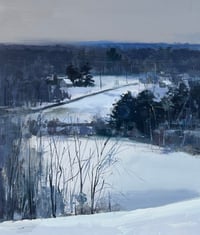 West Facing before a storm 