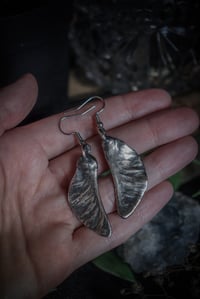 Image 2 of Real maple seed earrings
