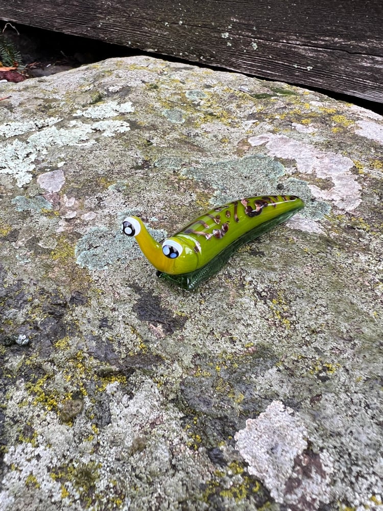 Image of Green and Brown Boro Slug