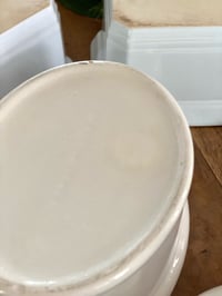 Image 6 of Terrine