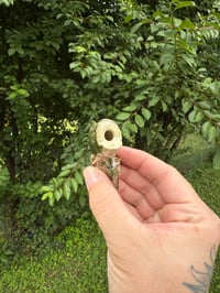 Image 5 of J Holders 