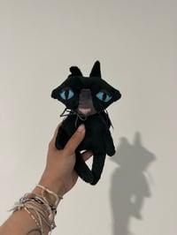 Coraline Kitty