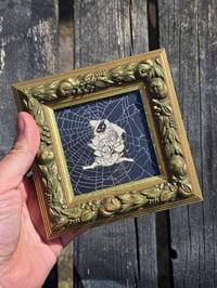 Image 1 of Antique Cat Collection -Cat engravings with real preserved web- K