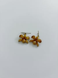 Image 1 of Orange earrings