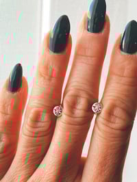 Image 3 of SHINE