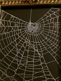 Image 3 of Silver Champagne  ornate framed preserved web