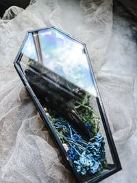 Image 4 of LetterstoLaLuna Haunted Forest Carrion Crow Head in glass coffin 