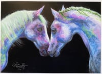 Image 2 of Colorful Horse Print