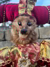 Image 1 of The Kings Jester