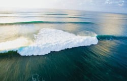Image of Swell