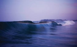 Image of Swell