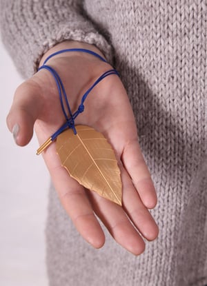 Image of brugmansia_gelbgold