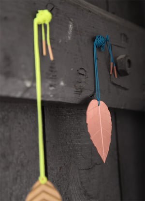 Image of brugmansia_rosé