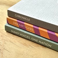 Image 2 of Ffotogallery Publications x3