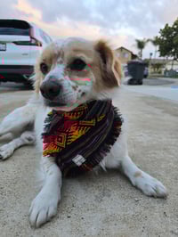 Image 2 of Amigo Vibes Bandana