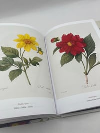 Image 5 of The Book of Flowers. 45th Ed.