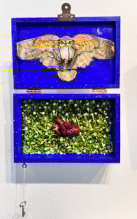 Image 1 of Lost & Found- Molly David