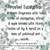 Image 3 of Frosted Eucalyptus 