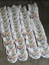 Cats Not Cars sticker