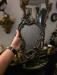 Image 1 of Large statement 1870’s stamped Paris framed framed preserved spider web