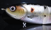 Image 2 of Full Size Commode - “FW Chrome Copper Shad”